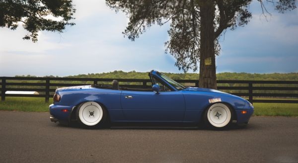 R_(d)MX-5b